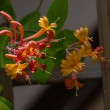 DSC_2074_2400