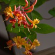 DSC_2075_2400
