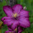 DSC_2085_2400
