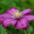 DSC_2088_2400