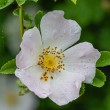 DSC_2105_2400