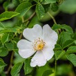 DSC_2108_2400