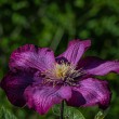 DSC_2158_2400
