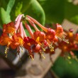 DSC_2163_2400