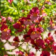 DSC_2744_2400