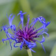 DSC_2752_2400