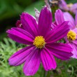 DSC_2772_2400