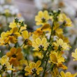 DSC_2776_2400
