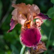 DSC_2813_2400