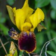 DSC_2815_2400