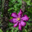 DSC_2822_2400