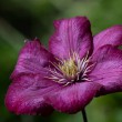 DSC_2824_2400