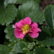 DSC_2830_2400