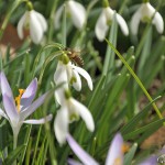 Frühling 2011