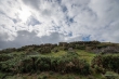 D72_6869
