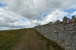 D72_6888