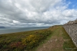 D72_6893
