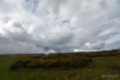 D72_6899