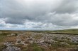D72_6901