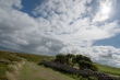 D72_6906