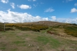 D72_6935