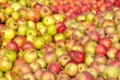 Äpfel von 2013