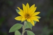 D72_3674_1920
