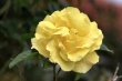 D72_3685_1920