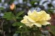 D72_3687_1920