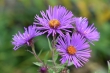 D72_3694_1920