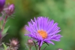 D72_3698_1920