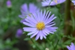 D72_3704_1920