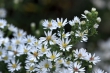 D72_3735_1920