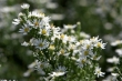 D72_3736_1920