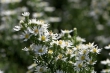 D72_3737_1920