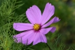 D72_3743_1920