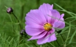 D72_3744_crop1920