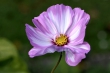 D72_3746_1920