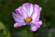 D72_3749_1920