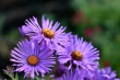 D72_3751_1920