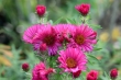 D72_3753_1920