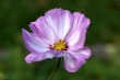 D72_3781_1920
