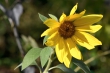 D72_3783_1920