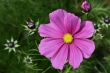 D72_3788_1920