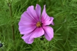 D72_3795_1920