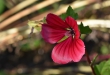 D72_3808crop_1920