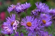 D72_3816_1920
