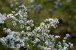 D72_3822_1920