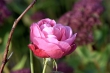 D72_3832_1920