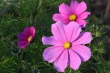D72_3849crop1920